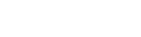 HKUBS IDEI